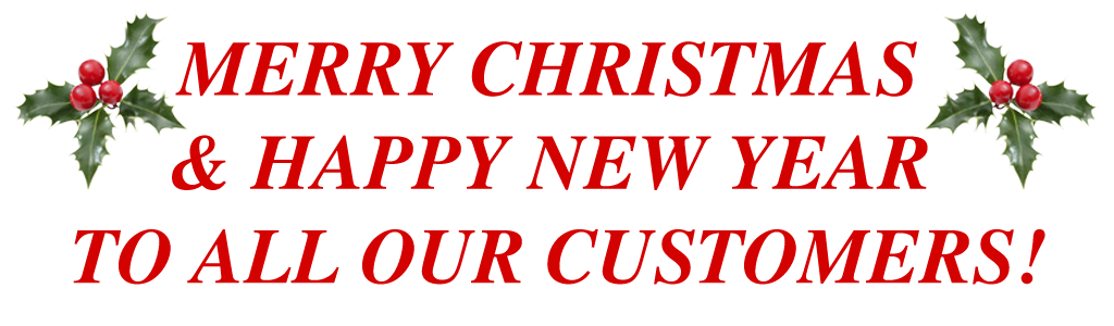 Merry-Christmas-2021-Holly-02